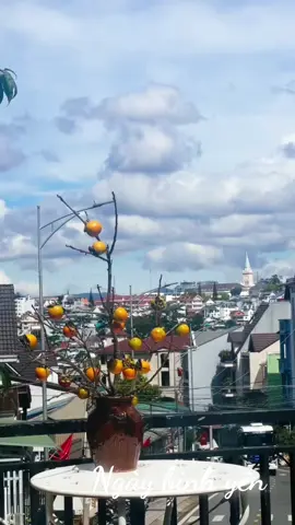 Thong dong  #TikTokAwardsVN #dalat #dulichdalat #dreamyhomedalat #homestay 