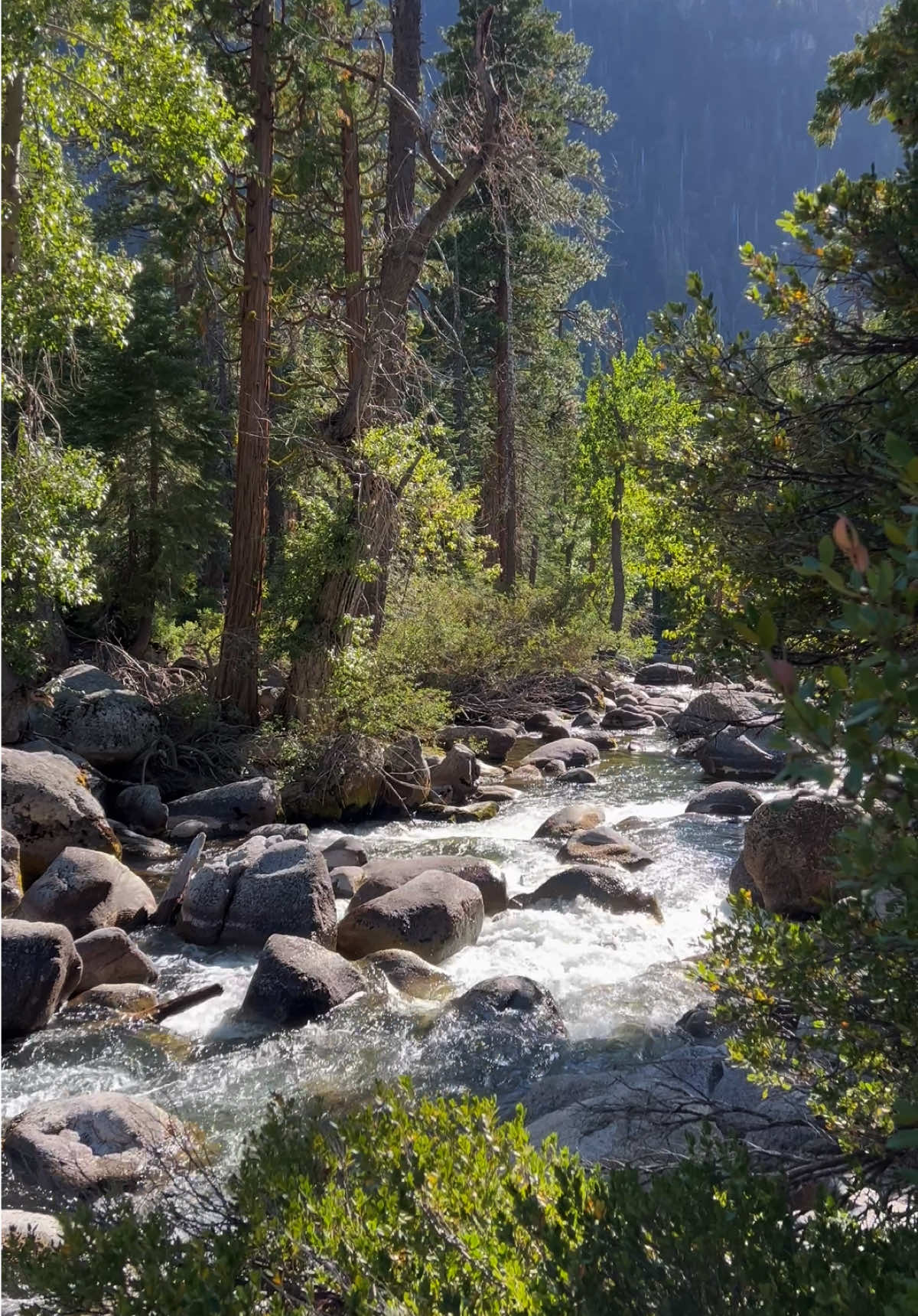 Sometimes all you need is this sound🌊 #mountainriver #naturesounds #landscape #californiatrails #asmr 
