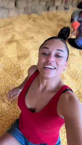 Living for this corn content rn help #pumpkinpatch 
