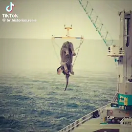 SCP 107 SCARY SONG #SCP #scary 