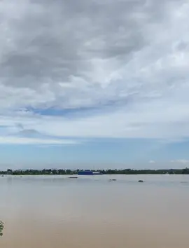 Thương người dân, thương bố mẹ làm nông cấy lúa đến lúc trổ bông rồi thì bão ngập hết Chỗ mọi người có ổn không?