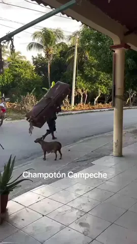 Hermana del cachetes #c4 #cuentasecreta #cachetes 