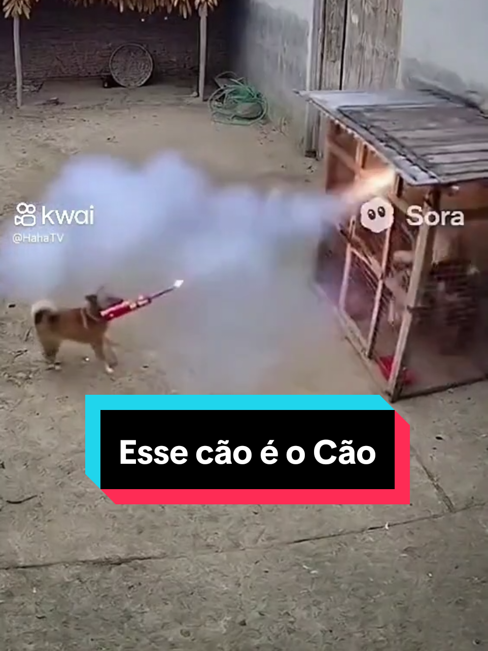 O despertador virou ao contrário! #humor #memes #cao #fogos #f 