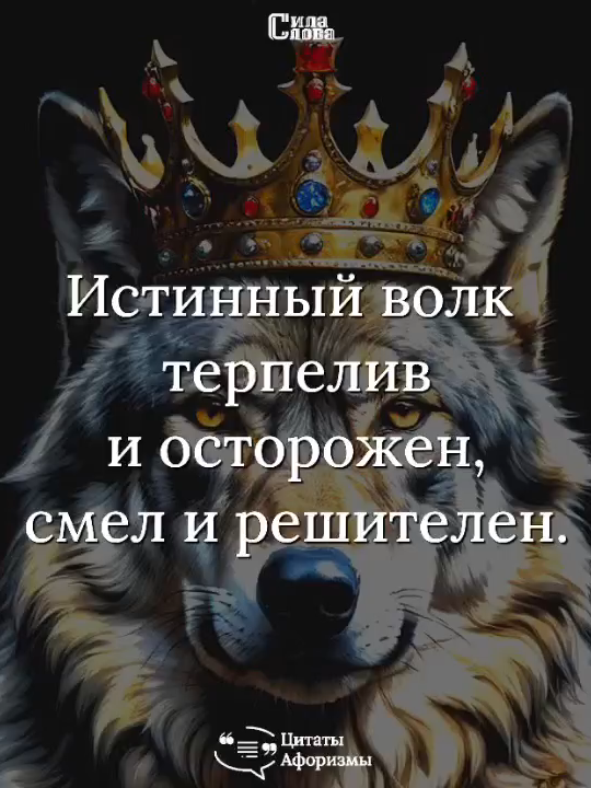 #Цитаты и афоризмы.
