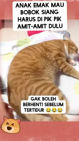 Lagi dan lagi si ooyyeennn 😆😅😂😸😹  #kucinglucu #catlovers #kucingoyen 