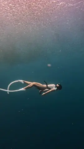 This feeling🤍 #freediving #freedive #underwaterworld #moalboal #fyp 