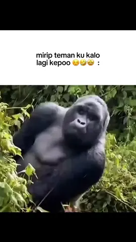 🤣🤣🤣