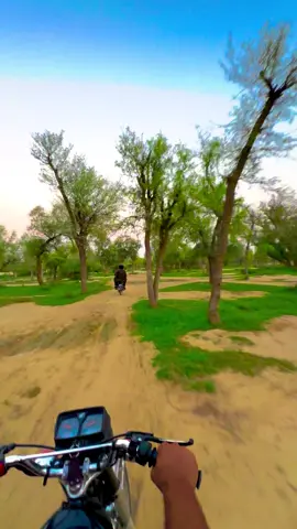 #پنجابی_کلچر🌾🍂 #panjabiculturephotography #pleaseunfrezzemyaccount #panjab #jungle 