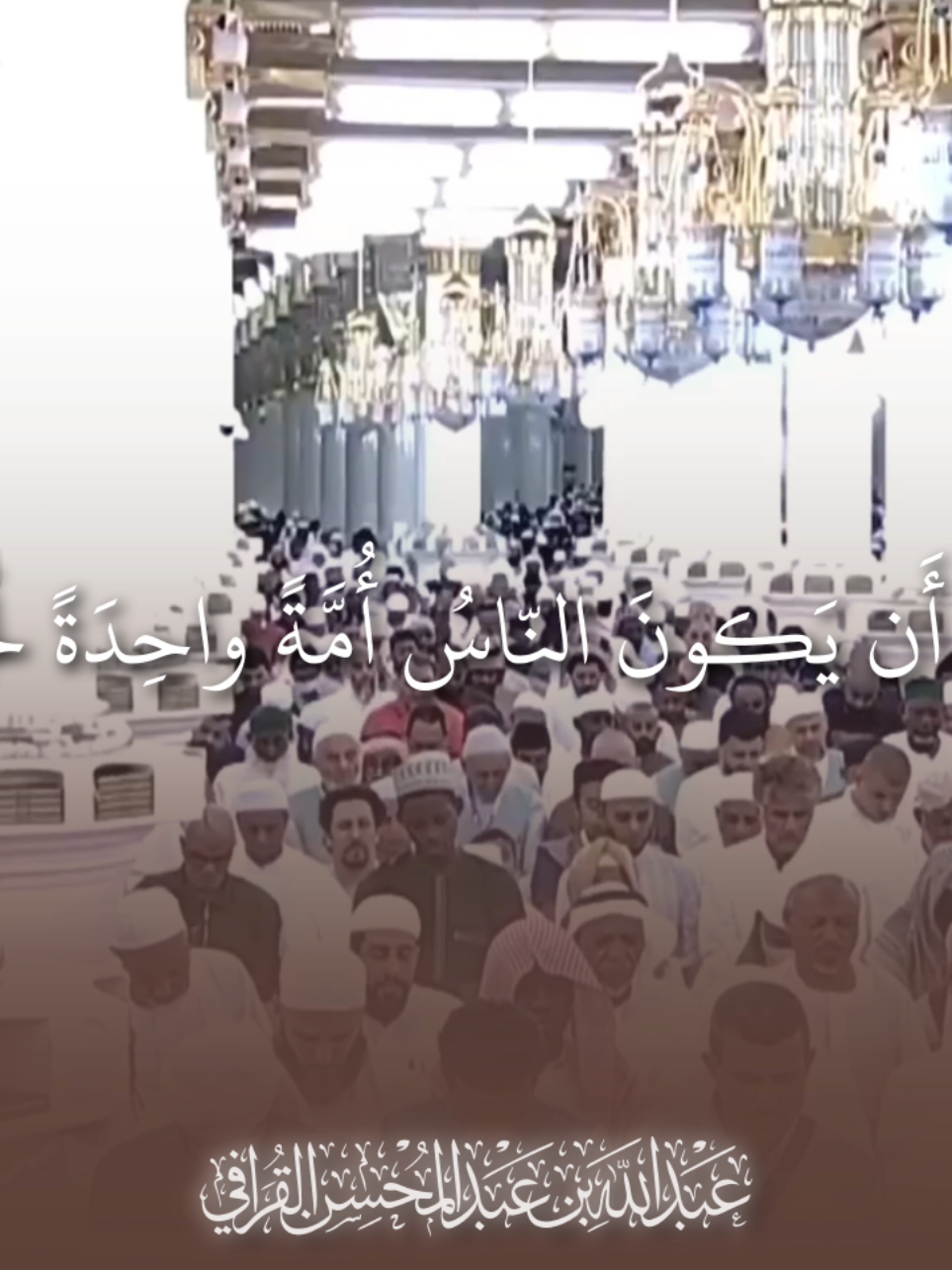 #عبدالله_القرافي #قران #قران_كريم #تلاوة_خاشعة #اكسبلور 