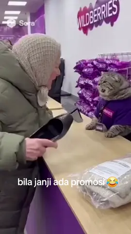#janji kucing