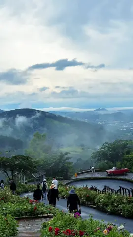 Một chút Đà Lạt mây bay #dalat #tourdalat #sanmaydalat #thoitietdalat #vitamindalat 