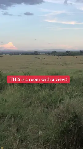 andBeyond Bateleur Camp, Masai Mara, Kenya #kenya #safari #safaricamp #luxurytravel #safaritent 
