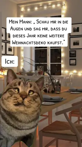 Ich: nur mal kurz im Deko Laden stöbern 🤣🎄#Meme #MemeCut #christmas #fyp #couplehumor 