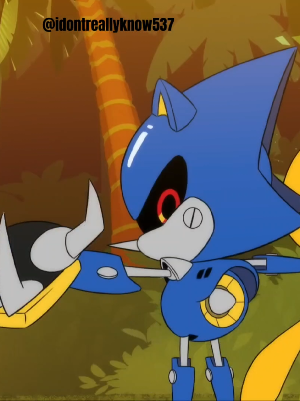 hue hue #metalsonic #sonic #metalsonicedit #edit #sonicthehedgehog  song is 