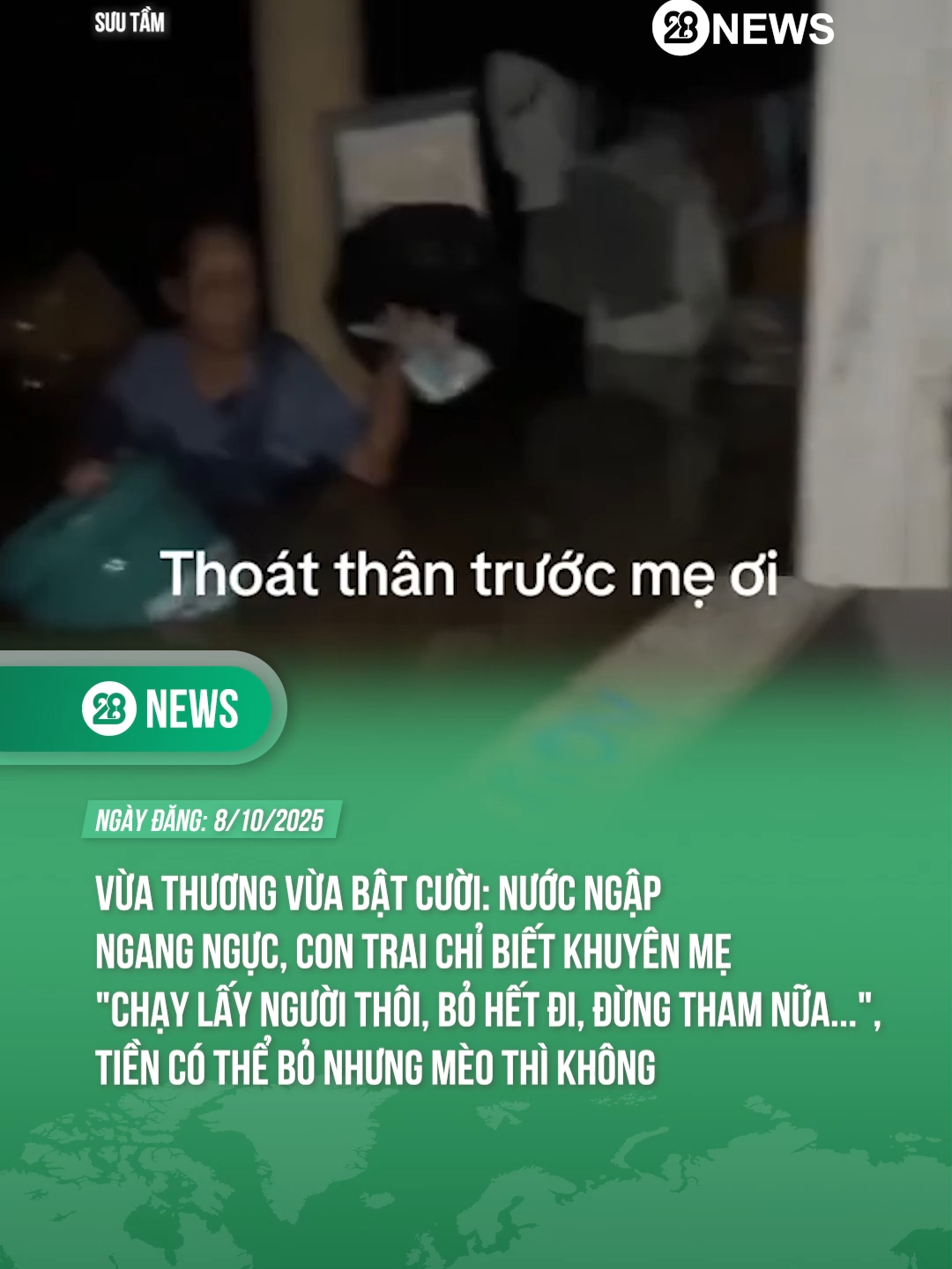 TIỀN CÓ THỂ BỎ NHƯNG MÈO THÌ KHÔNG #theanh28 #tiktoknews #theanh28news