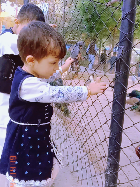 #creatorsearchinsights #likemyviedeos #unfreezemyacount #unfreeze #100kviews 