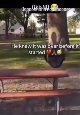 He knew it was over before he started #fail #pain #crying #fyp #viral 
