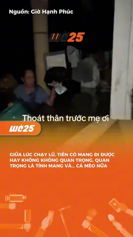 Mỗi sinh linh đều đáng quý #tieuhong #vtcmedia #we25 #news 