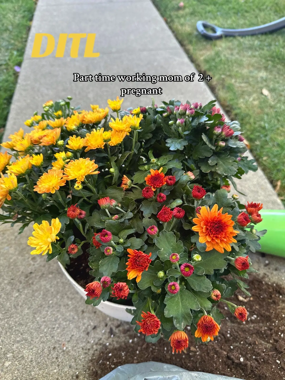 I felt like it was basically a what I eat in a day but I’m trying to get back into posting because I’ve missed it🤪