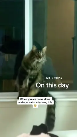 #onthisday 