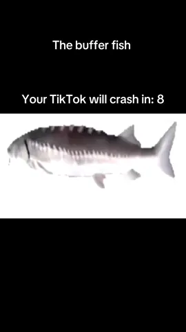 Well bro it just crashes #fail #fyp #viral #crashtest #buffer 
