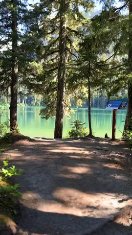 Joffre Lake British Columbia Canada 🇨🇦.                                                             #lake #freshwater #mountains #travel #forest 