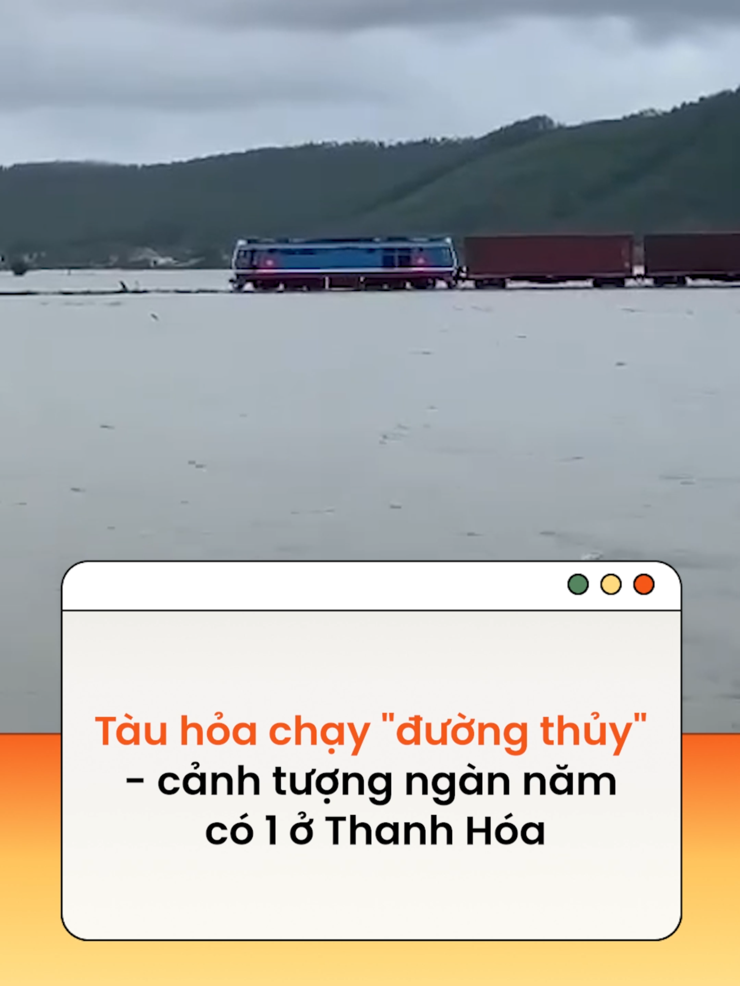 Cảnh tượng này cũng làm nhiều người nhớ đến bộ phim hoạt hình nổi tiếng Spirited Away - Vùng Đất Linh Hồn #news #amm  Theo Phụ nữ số