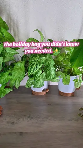 Elegant, structured, and classy!💅👜  It instantly elevates every outfit, whether it’s brunch, office party, or date night.  Bonus? It’s under $40 and ships free. 🎁 #bagsforwomen #everydaybag #affordablebags #giftsforwomen #ello 