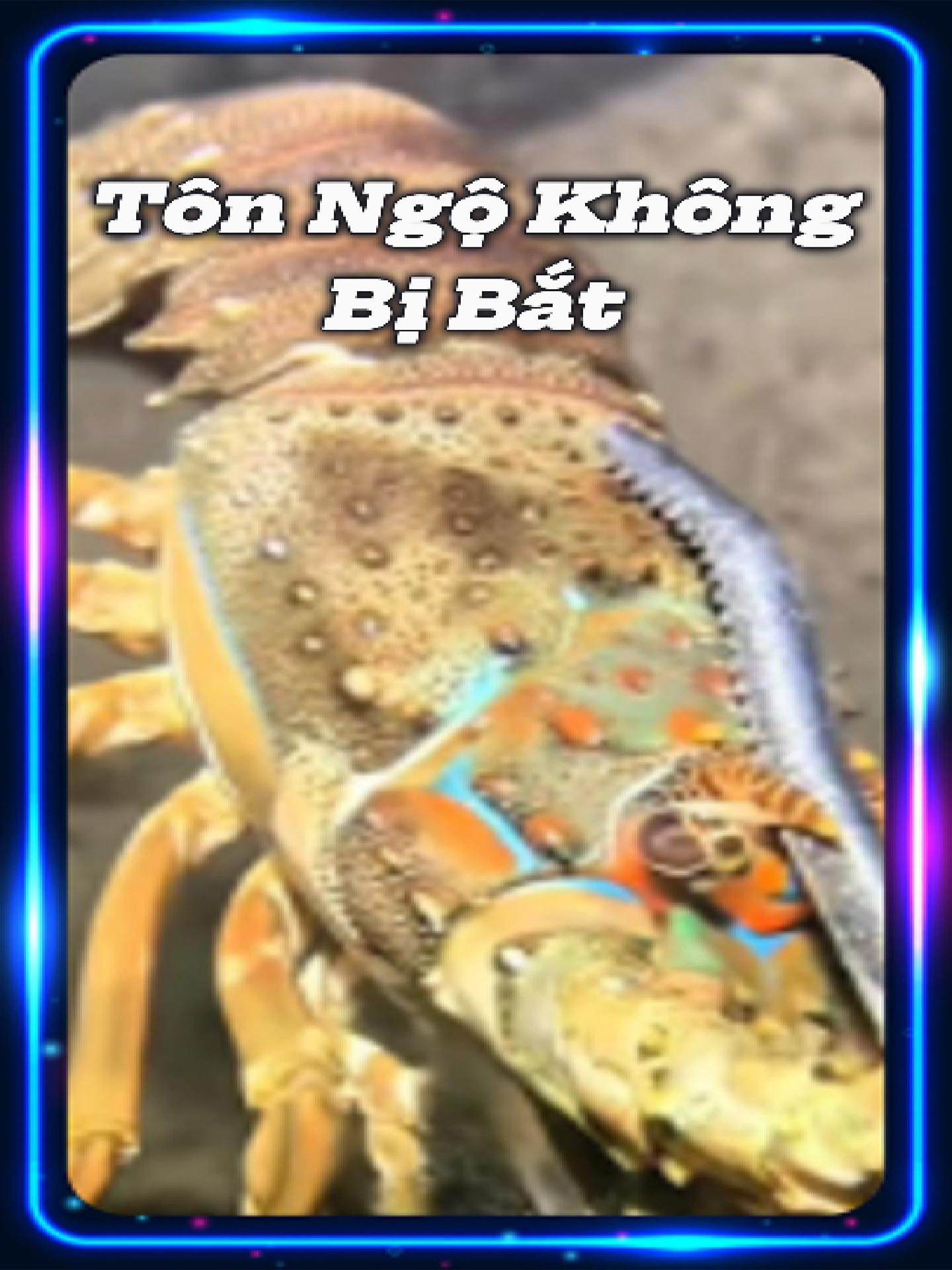 Bắt được Tôn Ngộ Không dưới biển, tiếp tục đi gắp hải sản nha anh em #seafood #ocean #xh