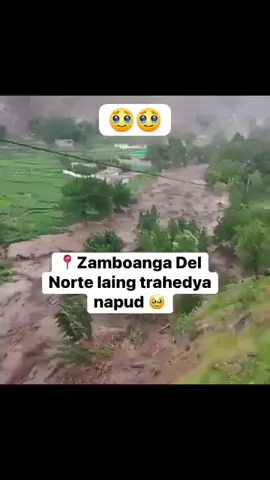 Grabeng mga pagsuLay nga gipadangat Karun maong mag hinulsol najud ta 🙏 @everyone wala ko kabalo if asa jud ni Kay nka caption nani Daan sa video nga zambo Norte daw gi repost lang Nako para dghan mka balo 🥹 E pray nalang natuu kung asa man juddd nii🙏🙏🙏🙏🙏 #keepsafeeveryoneandgodbless #keepsafeeveryone #zamboangadelnorte 