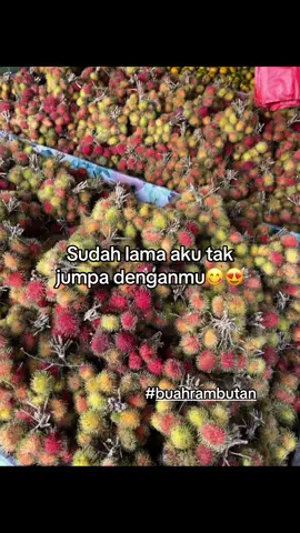 #rambutan #masukberanda #fyp #foryoupage #musimbuah