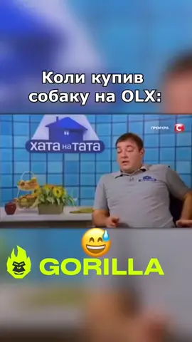 #стопосто #100x100 #горила100 #сотканагорилу