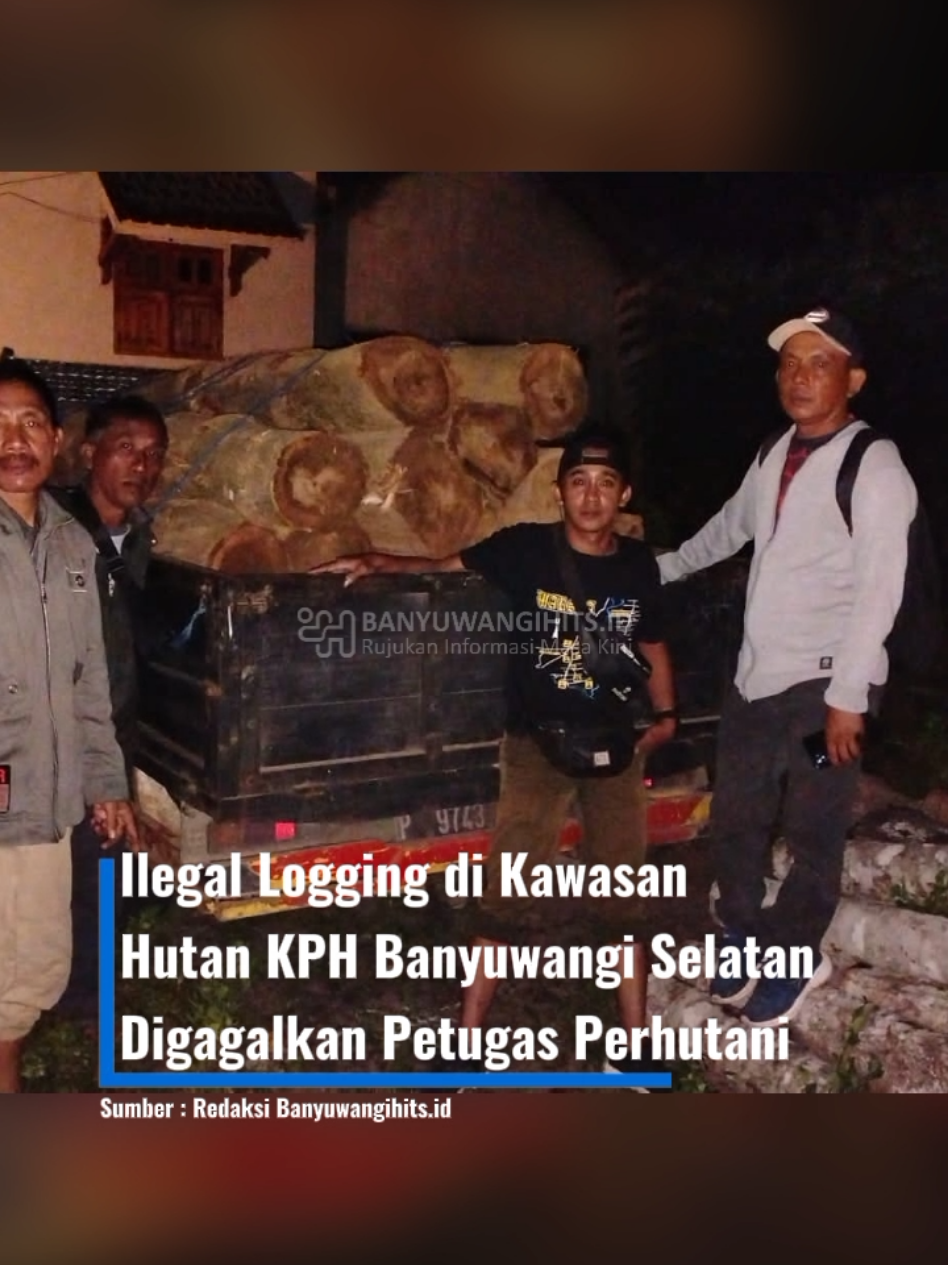 Petugas Perhutani KPH Banyuwangi Selatan berhasil menggagalkan aksi ilegal logging di kawasan hutan Petak 75S, RPH Kesilirbaru, BKPH Sukamade, Selasa (7/10/2025) malam.  Penangkapan berlangsung sekitar pukul 18.48 WIB. Tim gabungan yang terdiri dari KRPH Kesilirbaru, KRPH Pulau merah, serta jajaran personel BKPH Sukamade melakukan patroli dan mendapati aktivitas mencurigakan di dalam kawasan hutan. Saat dilakukan pemeriksaan, ditemukan satu unit mobil pick up dan empat sepeda motor protolan yang digunakan untuk langsir kayu ke kendaraan bermuatan. Dari hasil pemeriksaan, diketahui kendaraan tersebut mengangkut kayu jati sebanyak 16 batang dengan total volume 1,65 meter kubik. Namun, sopir beserta beberapa pelaku ilegal logging berhasil melarikan diri saat petugas melakukan penyergapan. Barang bukti berupa kayu dan empat unit sepeda motor kemudian diamankan di kantor Asper Sukamade. Sementara itu, mobil pick up dengan nomor polisi P 9743 ZN diserahkan kepada Polsek Pesanggaran untuk proses hukum lebih lanjut. #news  #beritaterkini  #beritabanyuwangi  #banyuwangihitsid 