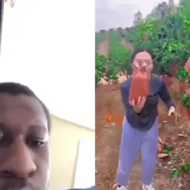 #funny #meme #memes #memestiktok 