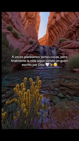 #fielcreyentededios🙏🏼 #diosesamor🙏🛐#lavidadamuchasvueltas🍀👏 #queseatuvoluntadseñor🙏🏻 😓😓😓😓😓