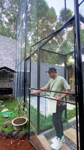 #aviary #aviarybirds #aviarymini #aviaryindonesia #burung 