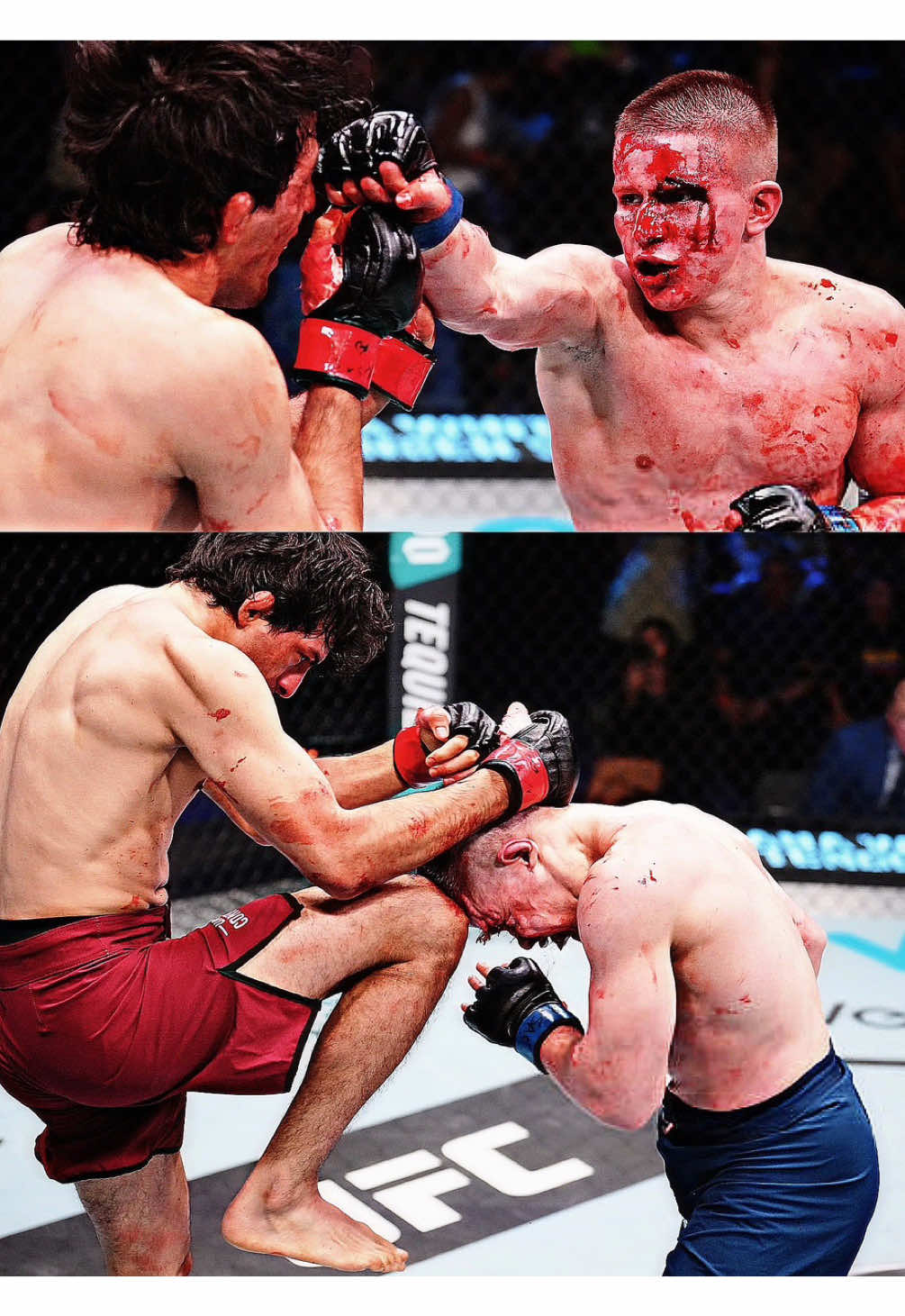 DWCS SZN 9 | Adrian L. Martinetti 🇪🇨 vs Mark Vologdin 🇷🇺 | ABSOLUTE WAR | #UFC #ufcedit #mma #fyp #creatorsearchinsights 