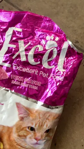 #makanankucing #makanankucingmurah #makanankucingexcel 