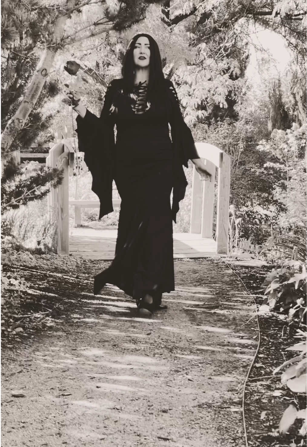 Hi! It’s been a while since I’ve posted. “I would walk through the shadows of the night just to be near you.” – Morticia Addams 🥀