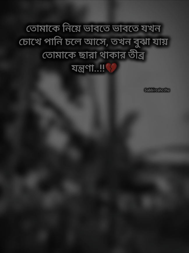 #sabbircahcchu #সাব্বিরচাচ্চু 