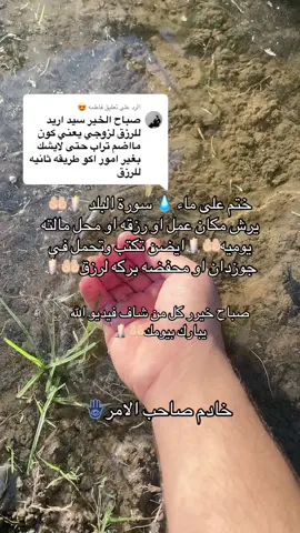 الرد على @فاطمه 😍 صباح الخير🤲🏻🌝#اكسبلورexplore #اكسبلور_تيك_توك #تيم_الرافدين #اكسبلور #العراق_السعوديه_الاردن_الخليج 