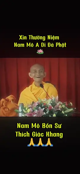 Quý vị có để ý đến cảm giác, tư tưởng không ?  #phatphapnhiemmau #trantrongbieton #phapmontinhdo #thichgiackhang #nammoadidaphat 