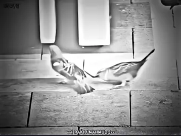 তুমি যেমনি হওনা কেন, তোমাকে আমি কখনো ছাড়ভো না 🥹🥰🥀#নিকোটিনেযর_মন #story #cutlove #emotional #video 