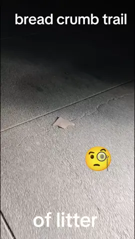 Hello, It is my opinion that the places I have lived and visited in the last 4 years (the US, Thailand and Cambodia) are being intentionally systematically  maliciously  littered, 24/7 with litter, trash, sticks and branches and dozens of other repeating objects in order to make the roads, streets, parks, forested areas etc....  of towns, cities and countries look depressing and cluttered. I came to this conclusion by gathering evidence for 4 years . Please take note. Examine the circumstantial evidence for yourself. Please discuss it with friends and family and Please Help Pick Up. Thank you. #psyop #malice #litter #trash  #sticks                           