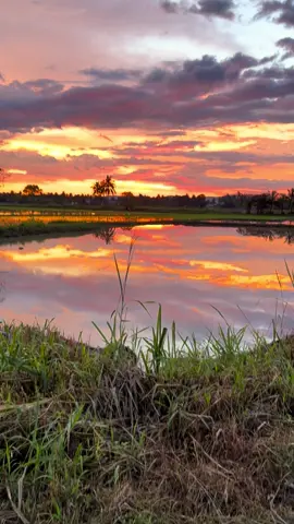 Pov jatuh cinta dengan sunset dekat kampung sendiri🥹#sunset #perlis 
