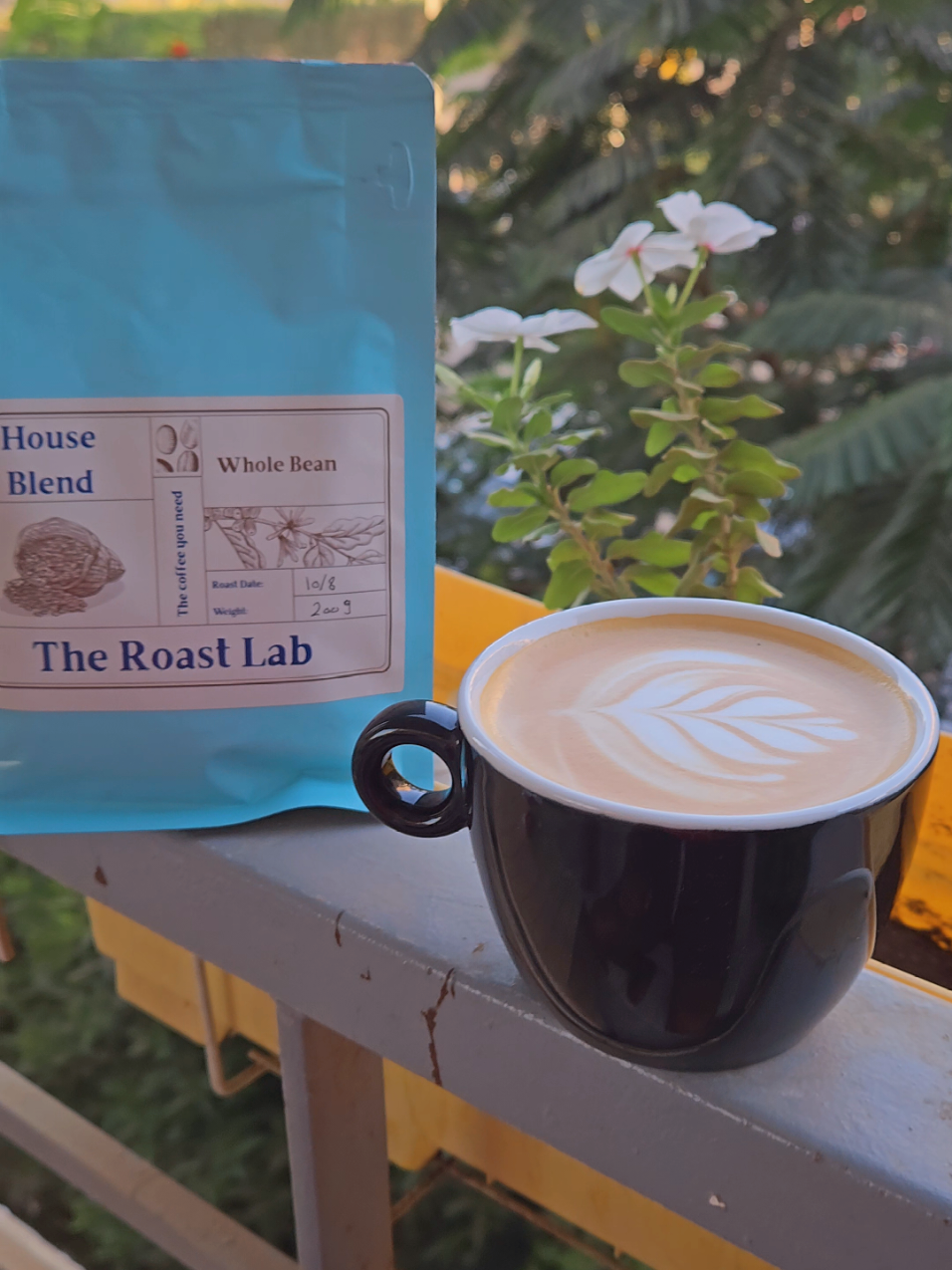 The Roast Lab House Blend is the BEST @The Roast Lab #coffee #قهوه #v60coffee #coffeelover #coffeetime 