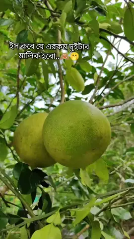 শুধু এই একটা অপেক্ষা জন্য এখনো বেঁচে আছি 😴
