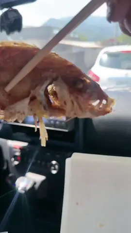 啊😧姨啊那欸底勒家😂 我要笑死..我真的不是故意的🤣🤣🤣 @東北角殺手  的工作日常 #磯釣り  #東北角  #魚  #蘇澳 