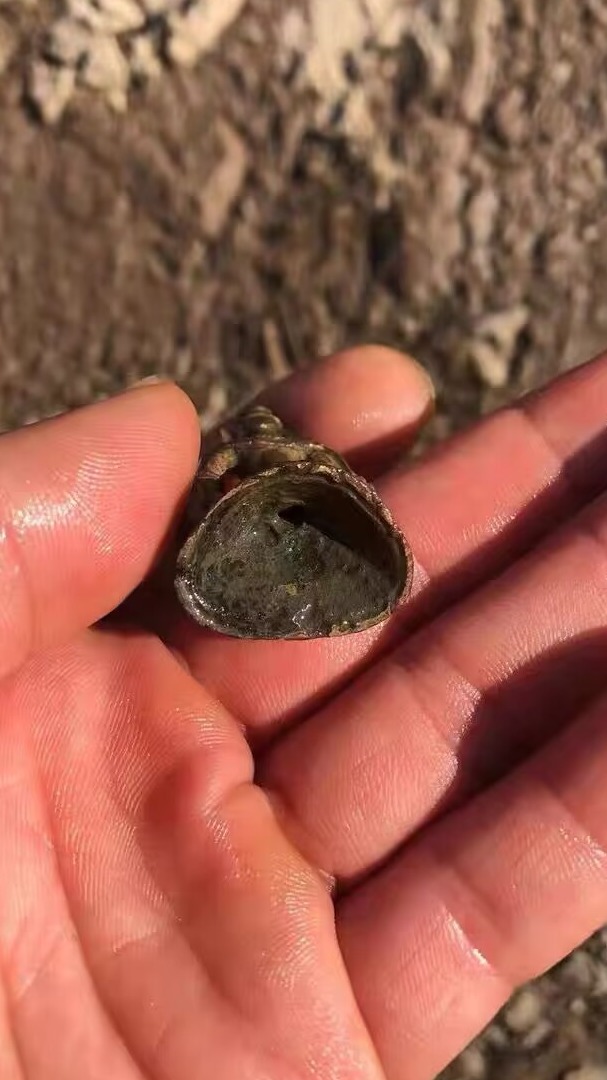 Metal detector high precision handheld underground treasure hunter outdoor treasure hunting visible gold treasure hunting magic device 