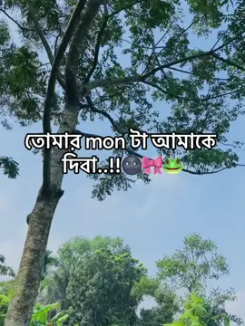 দিবা 🙂🙏 #foryou #vairal #foryoupage #bangladesh @Bangladesh TikTok 
